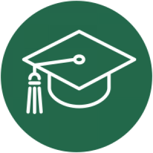 A Guide Through College Life